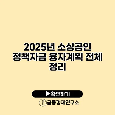 2025년 소상공인 정책자금 융자계획 전체 정리