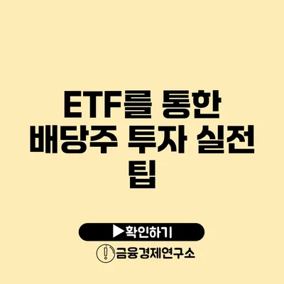 ETF를 통한 배당주 투자 실전 팁