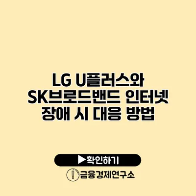 LG U플러스와 SK브로드밴드 인터넷 장애 시 대응 방법