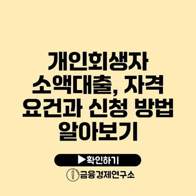 개인회생자 소액대출, 자격 요건과 신청 방법 알아보기