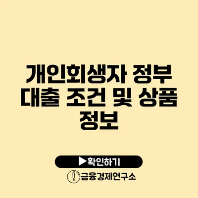 개인회생자 정부 대출 조건 및 상품 정보