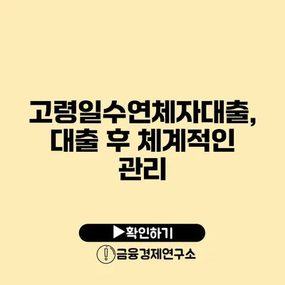 고령일수연체자대출, 대출 후 체계적인 관리