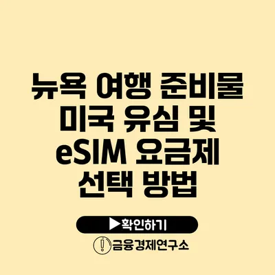 뉴욕 여행 준비물 미국 유심 및 eSIM 요금제 선택 방법