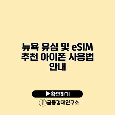 뉴욕 유심 및 eSIM 추천 아이폰 사용법 안내