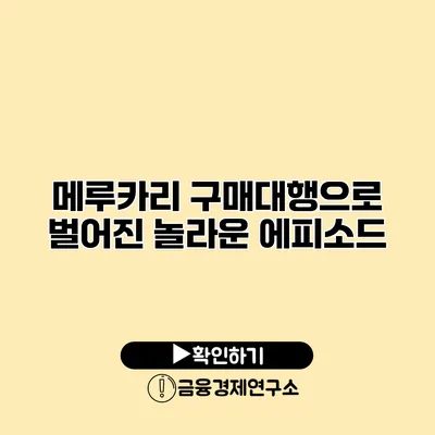 메루카리 구매대행으로 벌어진 놀라운 에피소드