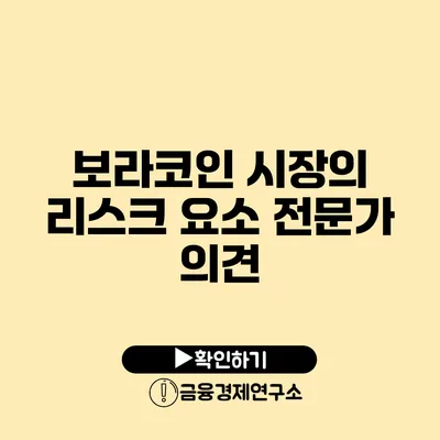 보라코인 시장의 리스크 요소 전문가 의견