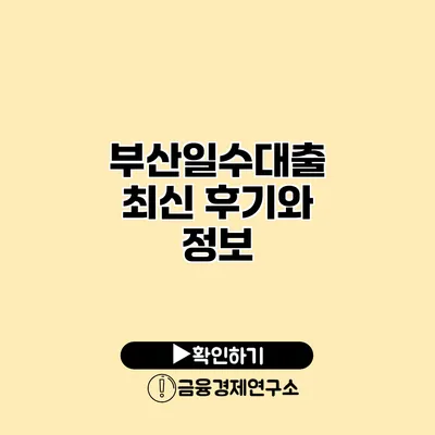부산일수대출 최신 후기와 정보