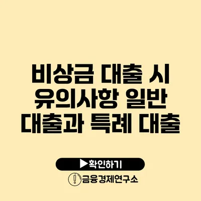 비상금 대출 시 유의사항: 일반 대출과 특례 대출