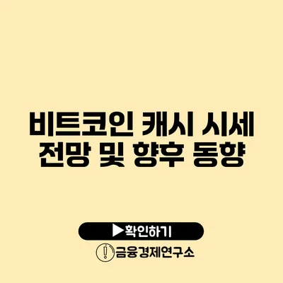 비트코인 캐시 시세 전망 및 향후 동향