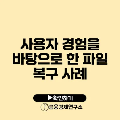 사용자 경험을 바탕으로 한 파일 복구 사례
