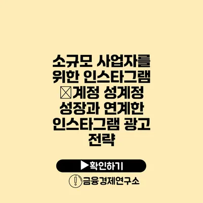 소규모 사업자를 위한 인스타그램 �계정 성계정 성장과 연계한 인스타그램 광고 전략