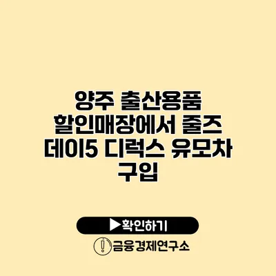 양주 출산용품 할인매장에서 줄즈 데이5 디럭스 유모차 구입