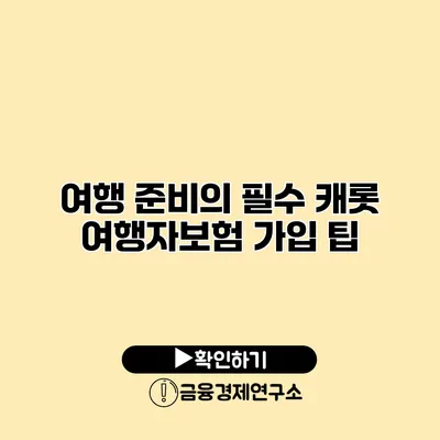 여행 준비의 필수 캐롯 여행자보험 가입 팁