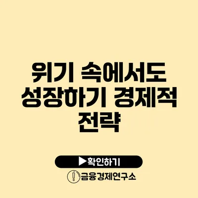 위기 속에서도 성장하기 경제적 전략