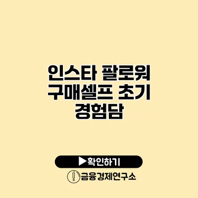 인스타 팔로워 구매셀프 초기 경험담