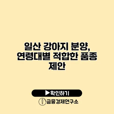 일산 강아지 분양, 연령대별 적합한 품종 제안
