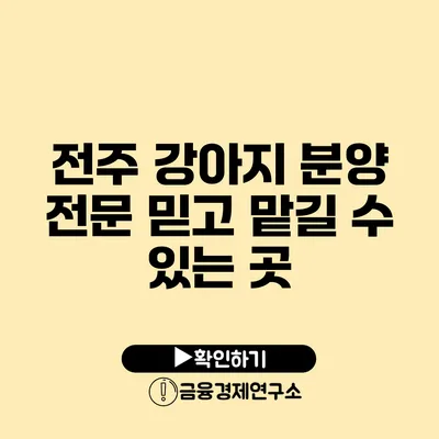 전주 강아지 분양 전문 믿고 맡길 수 있는 곳