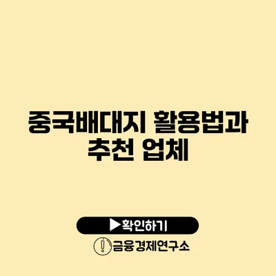 중국배대지 활용법과 추천 업체