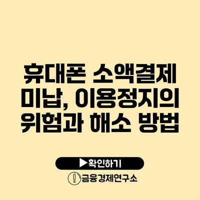 휴대폰 소액결제 미납, 이용정지의 위험과 해소 방법