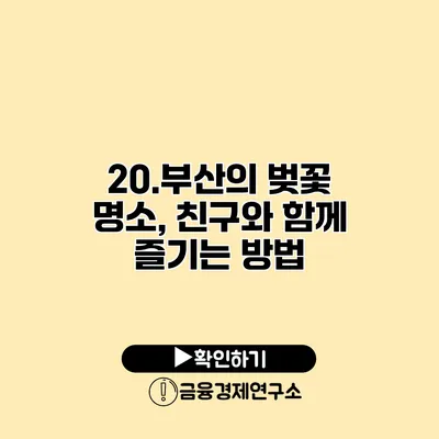 20.부산의 벚꽃 명소, 친구와 함께 즐기는 방법