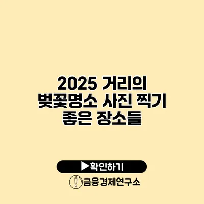 2025 거리의 벚꽃명소 사진 찍기 좋은 장소들