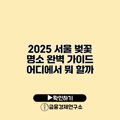 2025 서울 벚꽃 명소 완벽 가이드 어디에서 뭐 할까?