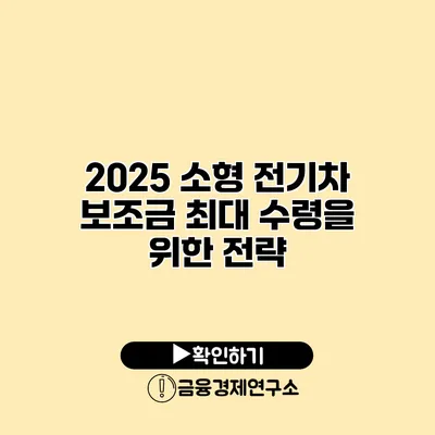 2025 소형 전기차 보조금 최대 수령을 위한 전략