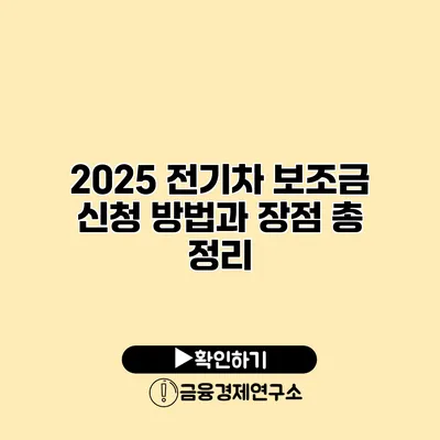 2025 전기차 보조금 신청 방법과 장점 총 정리