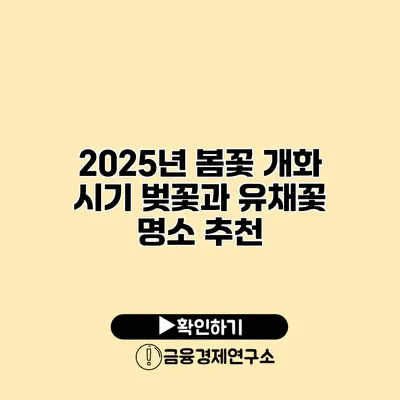 2025년 봄꽃 개화 시기 벚꽃과 유채꽃 명소 추천