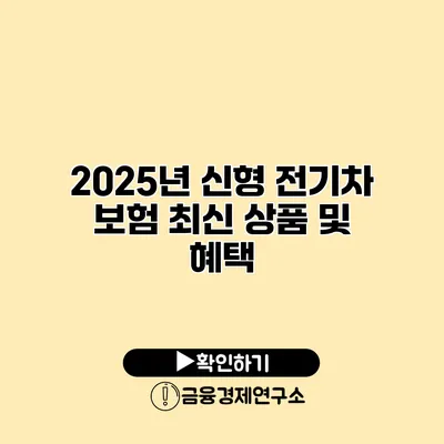 2025년 신형 전기차 보험 최신 상품 및 혜택