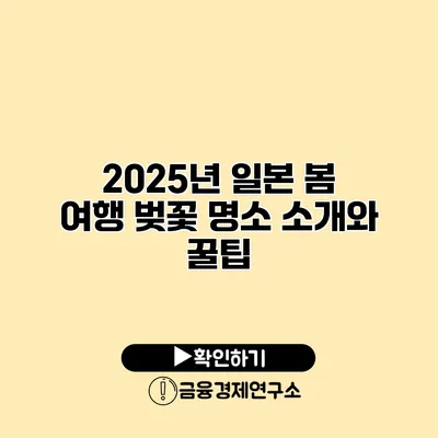 2025년 일본 봄 여행 벚꽃 명소 소개와 꿀팁