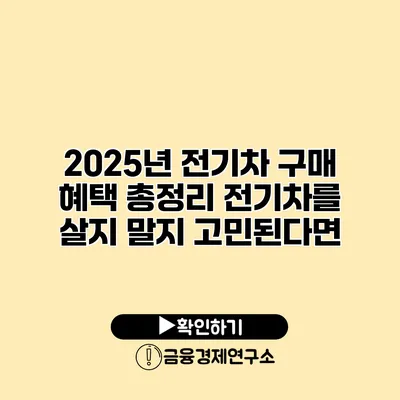 2025년 전기차 구매 혜택 총정리 전기차를 살지 말지 고민된다면?