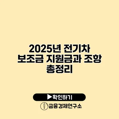 2025년 전기차 보조금 지원금과 조항 총정리