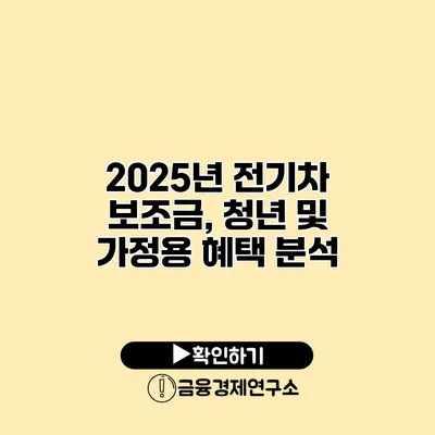 2025년 전기차 보조금, 청년 및 가정용 혜택 분석
