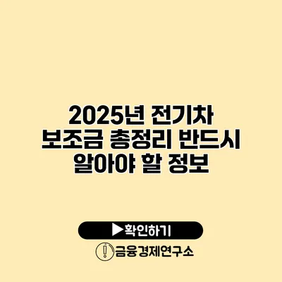 2025년 전기차 보조금 총정리 반드시 알아야 할 정보