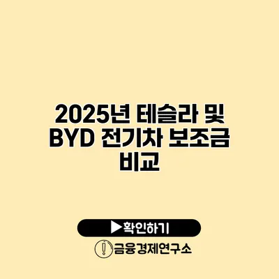 2025년 테슬라 및 BYD 전기차 보조금 비교