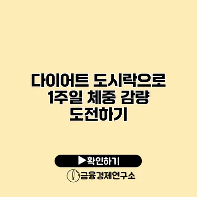 다이어트 도시락으로 1주일 체중 감량 도전하기