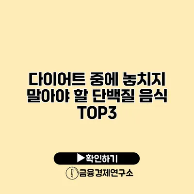다이어트 중에 놓치지 말아야 할 단백질 음식 TOP3