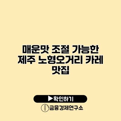 매운맛 조절 가능한 제주 노형오거리 카레 맛집