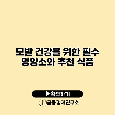 모발 건강을 위한 필수 영양소와 추천 식품