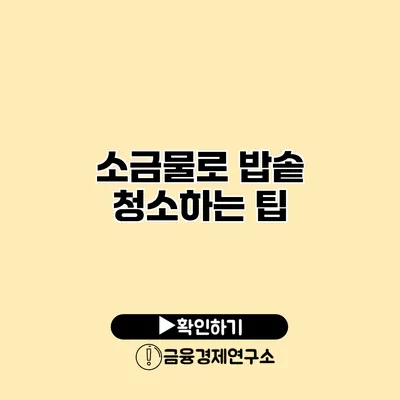 소금물로 밥솥 청소하는 팁