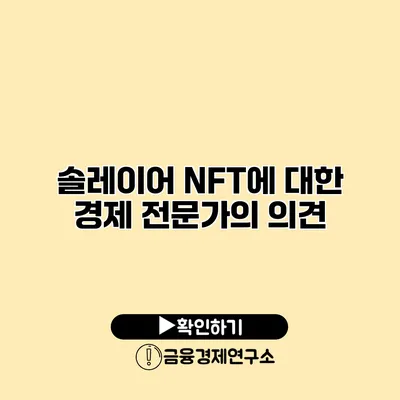 솔레이어 NFT에 대한 경제 전문가의 의견