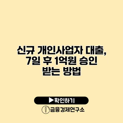 신규 개인사업자 대출, 7일 후 1억원 승인 받는 방법