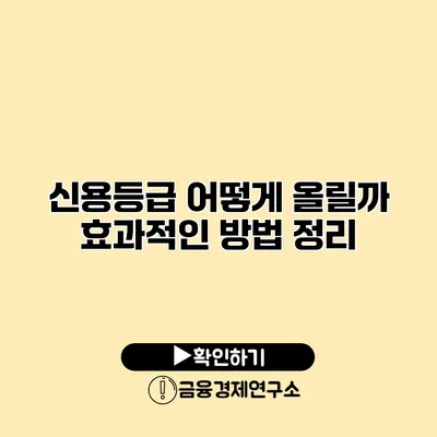 신용등급 어떻게 올릴까? 효과적인 방법 정리