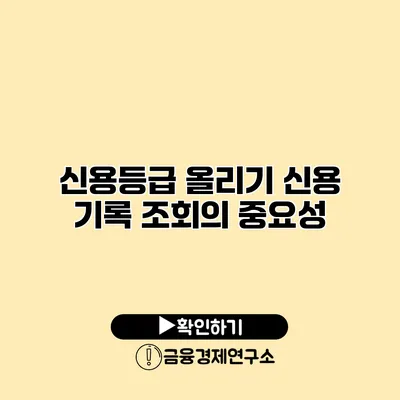 신용등급 올리기 신용 기록 조회의 중요성