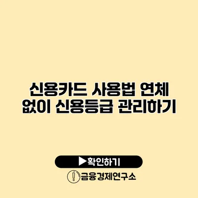 신용카드 사용법 연체 없이 신용등급 관리하기