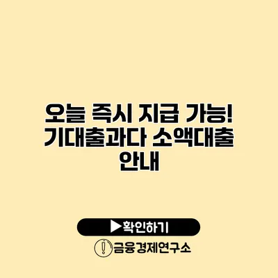 오늘 즉시 지급 가능! 기대출과다 소액대출 안내