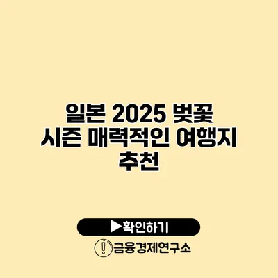 일본 2025 벚꽃 시즌 매력적인 여행지 추천