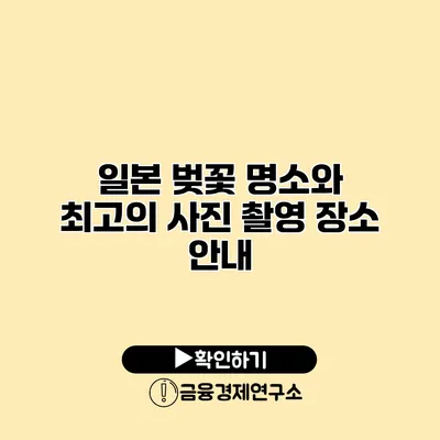 일본 벚꽃 명소와 최고의 사진 촬영 장소 안내