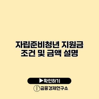 자립준비청년 지원금 조건 및 금액 설명